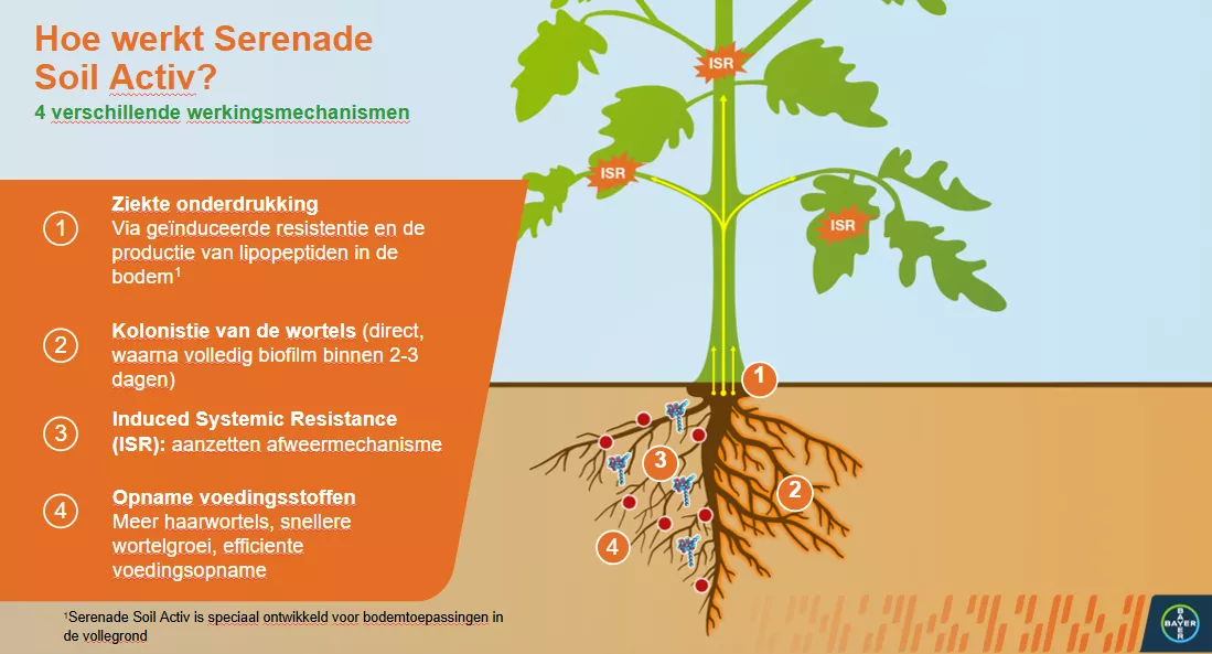 Hoe werkt Serenade Soil Activ?